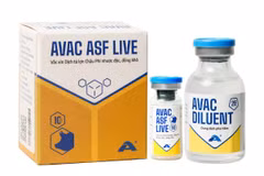  Vaccin AVAC ASF LIVE. Photo: avac.com.vn
