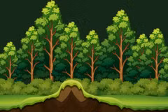 En 2025, le Vietnam comptait plus de 14,97 millions d'hectares de forêts