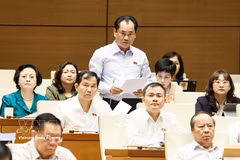 Le ministre de l’Agriculture et de l’Environnement Trinh Viet Hung répond à plusieurs préoccupations sur le développement des biotechnologies et le financement des infrastructures d’adaptation au changement climatique. Photo: VNA
