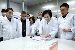 La secrétaire du Comité central du Parti et vice-Première ministre, Pham Thi Thanh Tra, examine des échantillons biologiques prélevés sur des restes de soldats morts pour la Patrie, conditionnés selon les normes et procédures nationales en vigueur. Photo : VNA