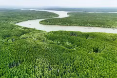 Le développement des forêts côtières au service de l’économie verte