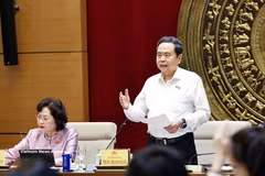 Le président de l’Assemblée nationale (AN), Tran Thanh Man, a demandé à la Commission des affaires économiques et financières de l’AN de renforcer son rôle de conseil et de proposition. Photo: VNA