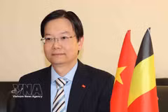 Tran Ngoc Quan, conseiller commercial du Vietnam en Belgique et auprès de l'UE. Photo: VNA