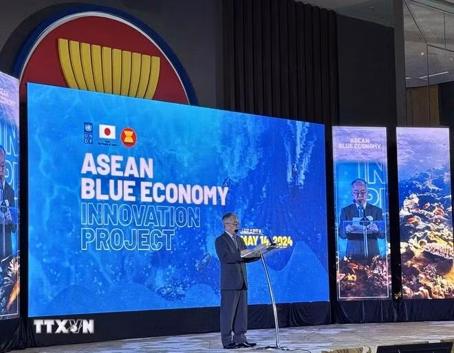 Lors du lancement du projet, le représentant résidant du PNUD en Indonésie, Norimasa Shimomura, a souligné l'importance de l'unité dans les efforts visant à exploiter le potentiel de l'économie bleue de l'ASEAN. Photo : VNA
