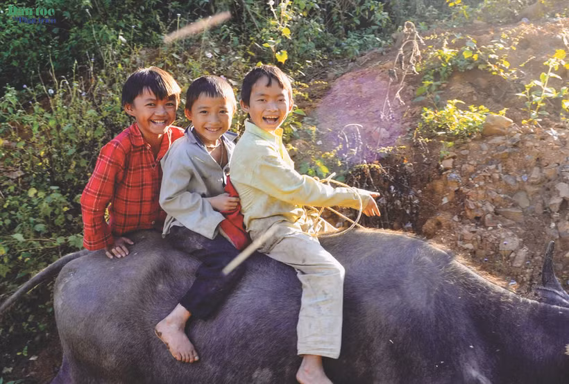 Le Vietnam a promulgué plusieurs règlements visant à renforcer le cadre juridique de révention du travail des enfants. Photo : VNA/CVN