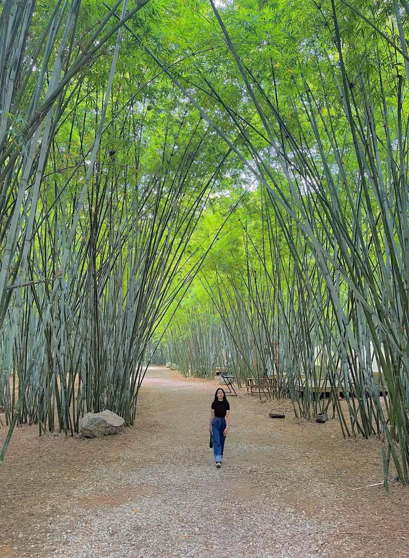 Avec une superficie de 10 hectares, le tourisme éco-culturel du village de Ven est un lieu d'expérience idéal pour de nombreux touristes. Photo : https://bandanvan.bacgiang.gov.vn/