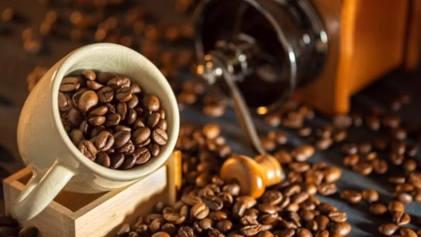 Au premier trimestre dernier, le Vietnam a exporté près de 600.000 tonnes de café pour un chiffre d'affaires d'environ 1,9 milliard de dollars. Photo : nhandan.vn