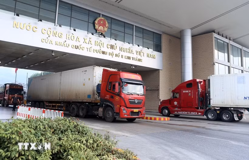 Les fruits et les légumes vietnamiens sont de plus en plus exportés vers la Chine. Photo : VNA