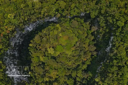 Le gouffre abrite un écosystème isolé, caractérisé notamment par de grands arbres arrivés à maturité et des formations géologiques susceptibles. Photo: VNA