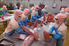 Les exportations de thon en légère hausse de 3,6 % au premier trimestre. Photo: VNA