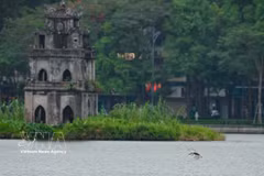 Le lac de Hoan Kiem (Epée restituée). Photo: VNA