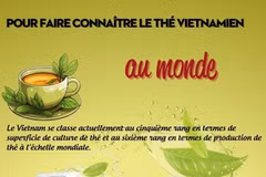Pour faire connaître le thé vietnamien