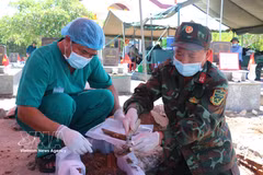 Des échantillons biologiques prélevés sur des tombes de martyrs au cimetière de Pho An, dans le quartier de Tra Cau (province de Quang Ngai). Photo : VNA