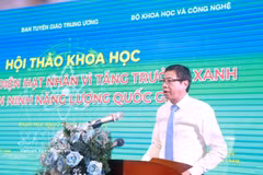Le vice-ministre des Sciences et des Technologies, Lê Xuân Đinh, s'exprime lors du séminaire. Photo: VNA
