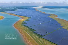 Les centrales solaires Dau Tieng 1, Dau Tieng 2 et Dau Tieng 3, construites sur une superficie d’environ 720 ha, ont constitué autrefois le plus grand complexe de centrales solaires d’Asie du Sud-Est. Photo : VNA