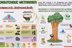 Caoutchouc vietnamien: croissance verte - développement durable 