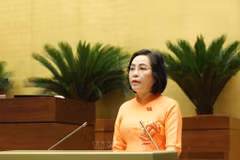 La vice-présidente de l’Assemblée nationale, Nguyên Thi Thanh. Photo: VNA