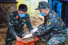 Deux soldats tombés au col de Pha Din rapatriés