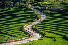 Le site écotouristique communautaire de Pu Luông, province de Thanh Hoa. Photo: VNA