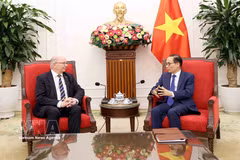La secrétaire d’État aux Affaires étrangères suédois Dag Hartelius (gauche) et le ministre des Affaires étrangères Lê Hoai Trung. Photo: VNA