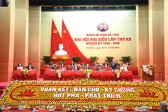 Le 20e Congrès du Comité du Parti de la province de Ha Tinh. Photo: VNA