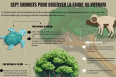 Sept endroits pour observer la faune au Vietnam