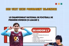 Des Viet kieu pourraient rejoindre le Championnat national de football de première division (V-League 1) 