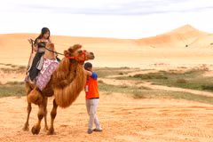 Mise en œuvre du plan d'aménagement de la zone touristique nationale de Mui Ne 