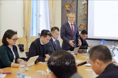 Le professeur Nguyên Xuân Thinh (Université TU Dortmund et président du Réseau d'Innovation Vietnam-Allemagne - VGI), s'exprime lors du séminaire. Photo: VNA