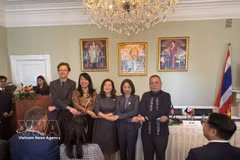 Les ambassadeurs des pays aséaniens à Copenhague. Photo: VNA