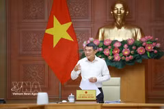 Le Premier ministre Lê Minh Hung fixe des objectifs pour le secteur de l’agriculture et de l’environnement. Photo: VNA