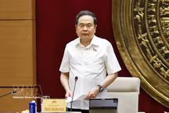 Le président de l’Assemblée nationale, Trân Thanh Mân, s'exprime lors de la réunion. Photo: VNA