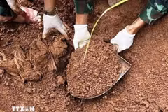 Lao Cai : à la recherche d’une fosse commune de martyrs