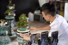 La transformation numérique au service du développement économique local au Vietnam 