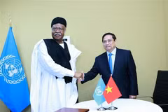 Le Premier ministre Pham Minh Chinh (droite) rencontre le président de l'Assemblée générale des Nations Unies, Philémon Yang. Photo: VNA