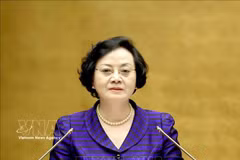 La secrétaire du Comité central du Parti et vice-Première ministre Pham Thi Thanh Tra s'exprime lors de la conférence. Photo: VNA