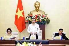 Le président de l'Assemblée nationale Trân Thanh Mân s'exprime lors de la réunion. Photo: VNA