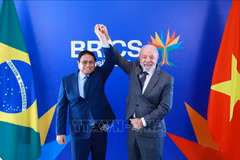 Le Premier ministre Pham Minh Chinh et le président brésilien Lula da Silva