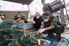 Les forces du Commandement militaire de la ville de Da Nang (Centre) procèdent à l’exhumation des restes de 17 soldats morts pour la Patrie, inhumés dans une fosse commune au village de Go Cao, commune de Thu Bon. Photo: VNA