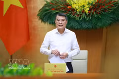 Le Premier ministre vietnamien Lê Minh Hung s'exprime lors de la réunion. Photo: VNA