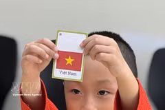 Un enfant canadien d'origine vietnamienne suit un cours de vietnamien traditionnel à Toronto, au Canada. Photo: VNA
