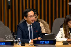 L’ambassadeur Dô Hung Viêt, chef de la Mission permanente du Vietnam auprès de l’ONU, s'exprime lors de la réunion. Photo: VNA