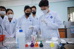 Recherche scientifique à l’Université de Cân Tho. Photo: VNA