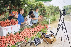 Le livestream, les vidéos et les réseaux sociaux sont en train de devenir de véritables “boutiques en ligne”, permettant aux produits agricoles d’atteindre directement les consommateurs. Photo: VNA
