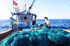 Renforcement de la coordination des actions dans la campagne de lutte contre la pêche INN