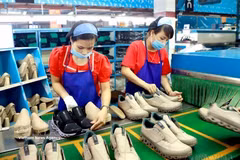 Au cours des six premiers mois de 2026, les exportations vietnamiennes de chaussures ont rapporté près de 12 milliards de dollars. Photo: VNA