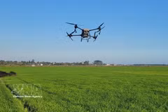 Utilisation d'un drone pour l'épandage de pesticides dans les rizières d'An Nhut, commune de Long Diên, Hô Chi Minh-Ville. Photo: VNA