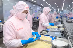 Cofidec répond aux normes internationales rigoureuses, élevant la valeur des produits agricoles et aquatiques du Vietnam sur la carte de l'exportation mondiale. Photo: VNA