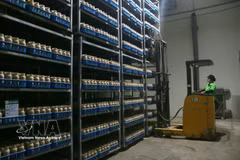Un robot assure le chargement et le déchargement des marchandises, réduisant la pénibilité du travail et améliorant l'efficacité des opérations. Photo : VNA