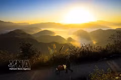 Le col de Keo Lôm, province de Diên Biên. Photo: VNA